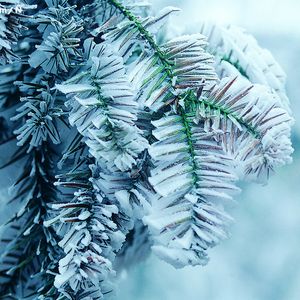 偷偷色无码av免费看
